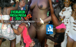 Evergreen Passa Passa 2015 Pt.2