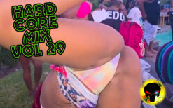 Hardcore Mix Vol 29