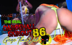 The Real Dancehall Skinout Vol 86 (Gogo)