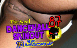 The Real Dancehall Skinout Vol 87 - 16 year Ann. Mix