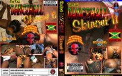 The Real Dancehall Skinout Vol 11