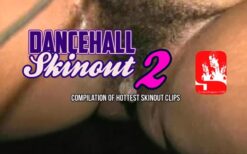 Dancehall Skinout Vol 2