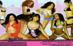 Michelle Lingerie Party 2009
