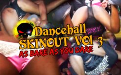 Dancehall Skinout Vol 3 - As Bare As You Dare